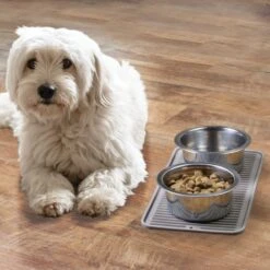 16" Pet Food + Water Bowl Mat -Home storage 1000 Square JPG 63583 Environment