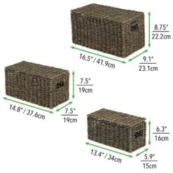 Seagrass Nesting Basket Set With Removable Lids -Home storage 2000 Square JPG 10199MDHS dims