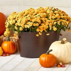 Beverage Tub With Bamboo Handles 28 Beverage Tub With Bamboo Handles -Home storage 2000 Square JPG 11008MDK Environment 1