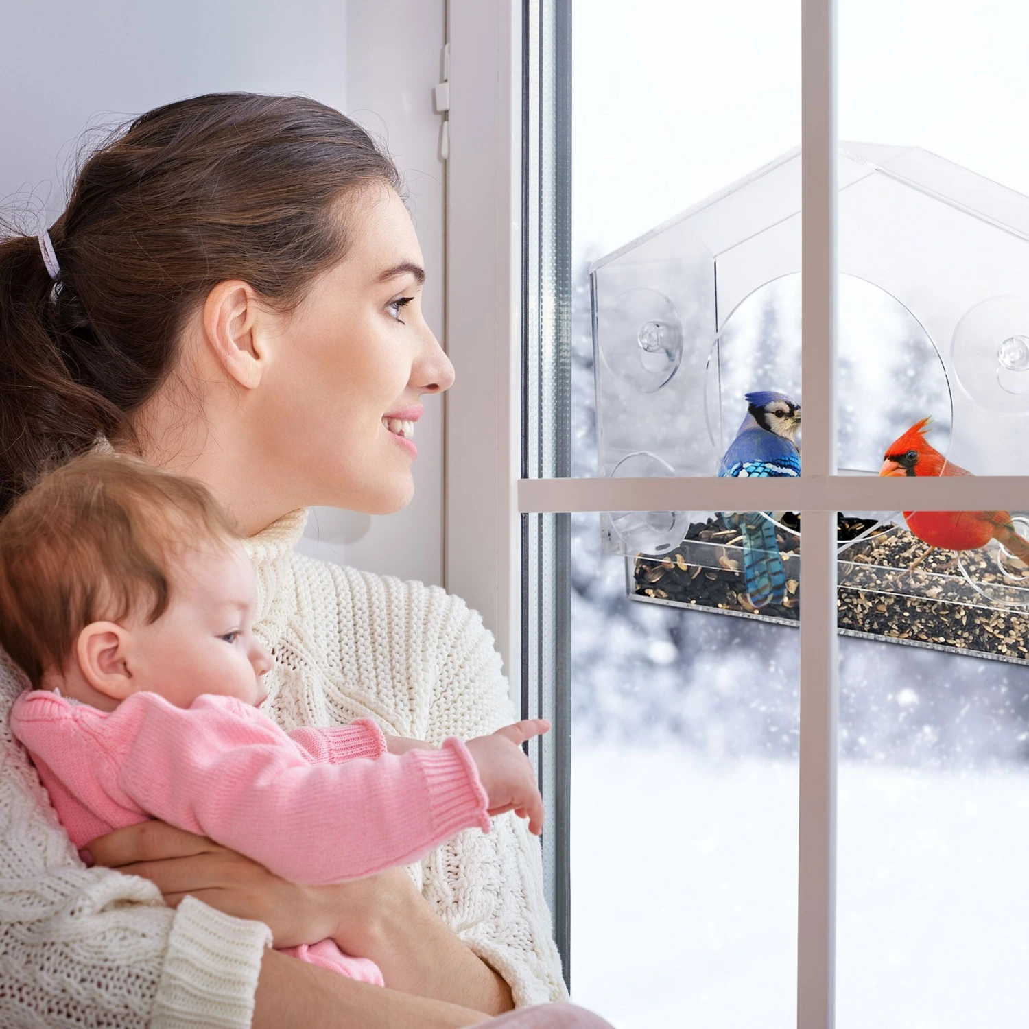 Acrylic Birdhouse + Feeder 2 Acrylic Birdhouse + Feeder - Image 2