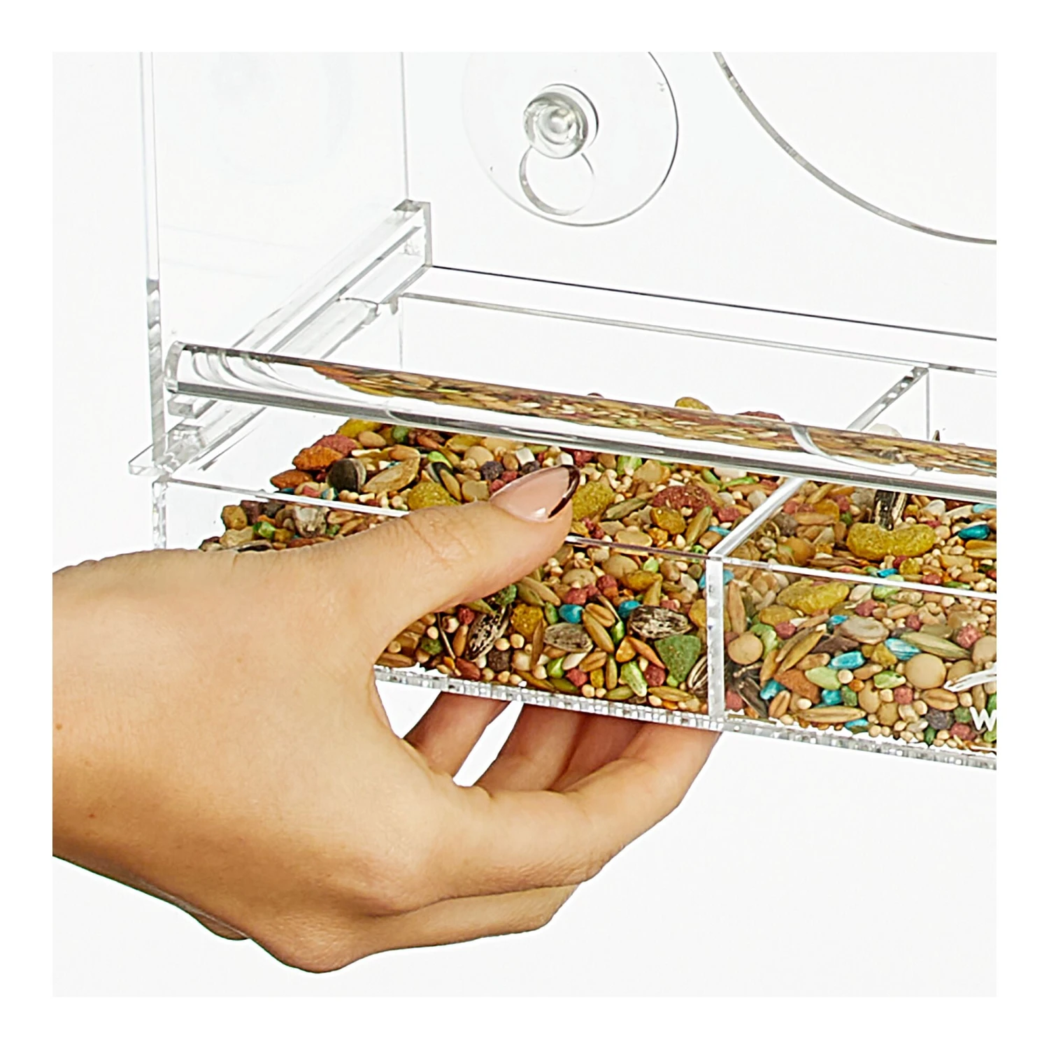 Acrylic Birdhouse + Feeder 4 Acrylic Birdhouse + Feeder - Image 4